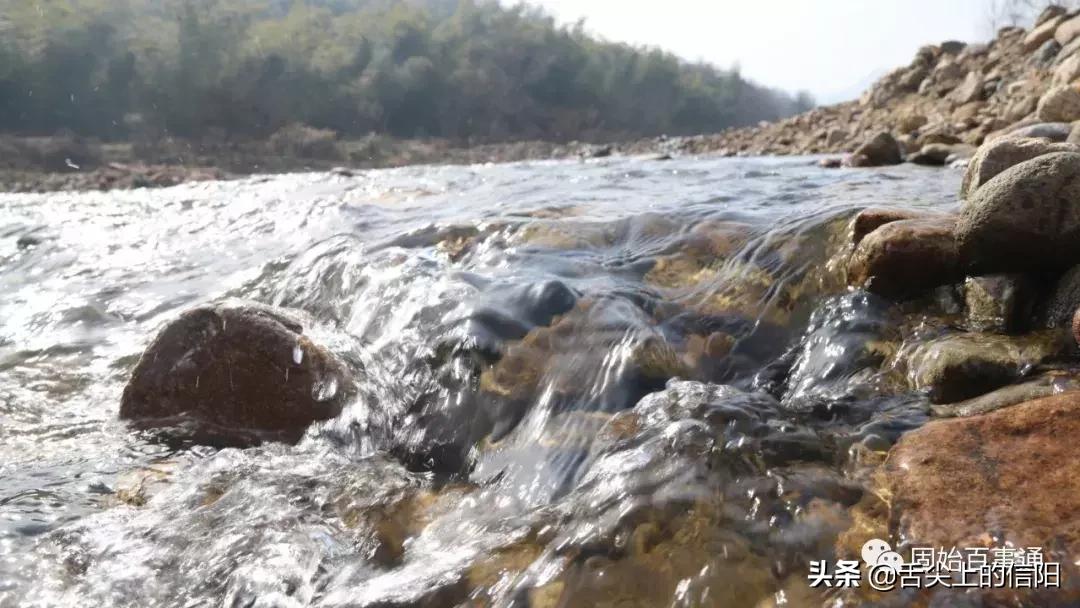固始县特殊美食饮食文化,固始特色美食攻略