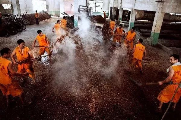 王姬语录,王姬早期广告