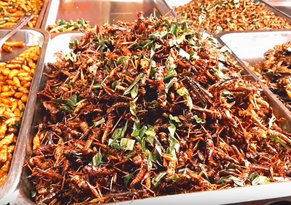 泰国人为什么喜欢吃酸苦辣的,泰国人真的吃虫子吗