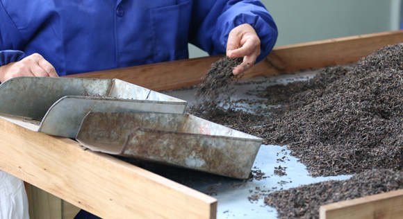 普洱茶熟茶压制方法是什么,普洱生茶紧压茶的正确打开方式