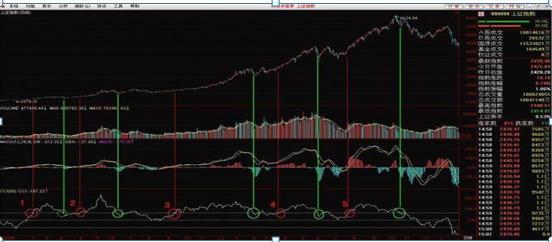 cci是短线还是长线指标,cci是什么专业