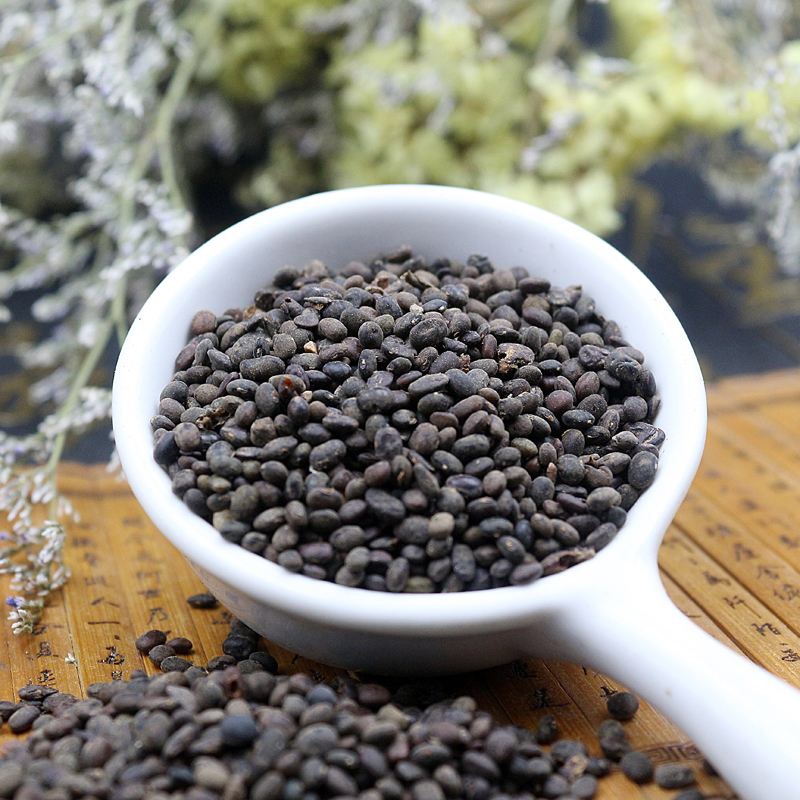 中药马料豆图片,野料豆图片