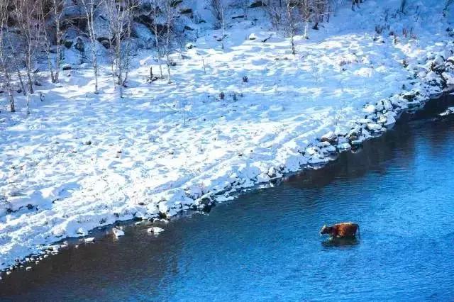 中国最美雪景地方,最适合旅游的雪国