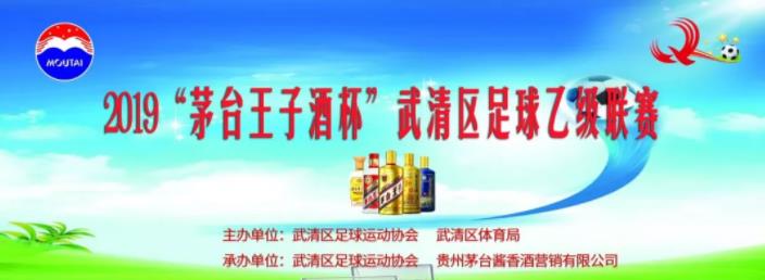 天津茅台王子杯足球,2024茅台王子杯邀请赛赛程濮阳