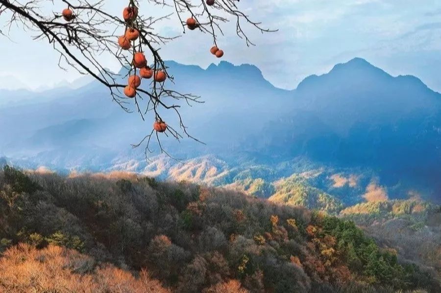 厉害了广元旅游,厉害了港城彩民连中两轮大奖