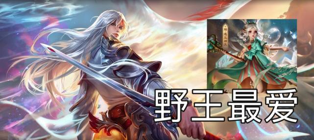 王者荣耀瑶妹上单,王者荣耀瑶妹最喜欢跟着哪个野王