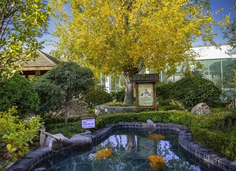 潍坊临朐揽翠湖泡温泉,临朐揽翠湖温泉攻略