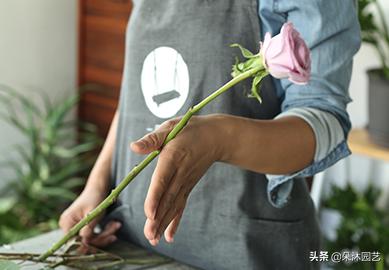 鲜花扎花束教程,手把手教你螺旋花束扎法