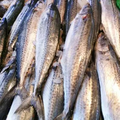 秦皇岛海鲜攻略,秦皇岛淡季海鲜攻略