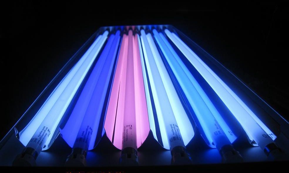 diyt5鱼缸灯详细教程,鱼缸t5灯怎么装