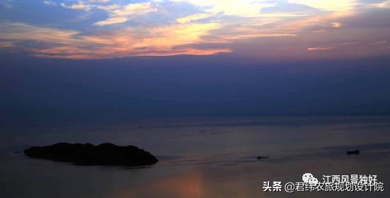 鄱阳湖候鸟保护区站长是谁,鄱阳湖候鸟江西都昌县