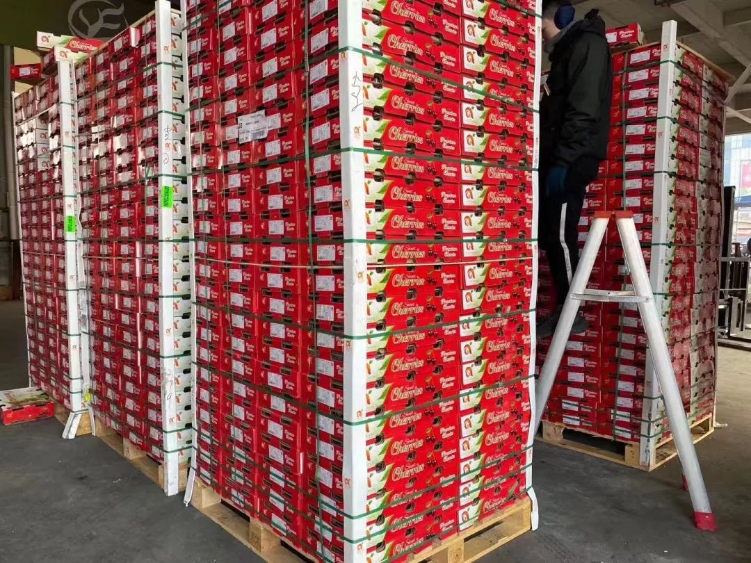 进口车厘子到国内第一站,出口级车厘子