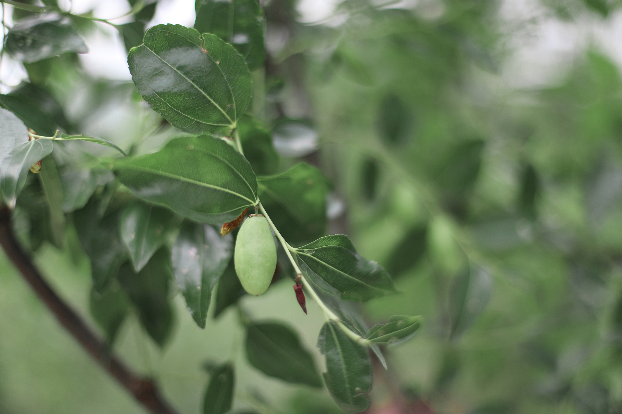 京郊房山登山路线,房山东港登山步道