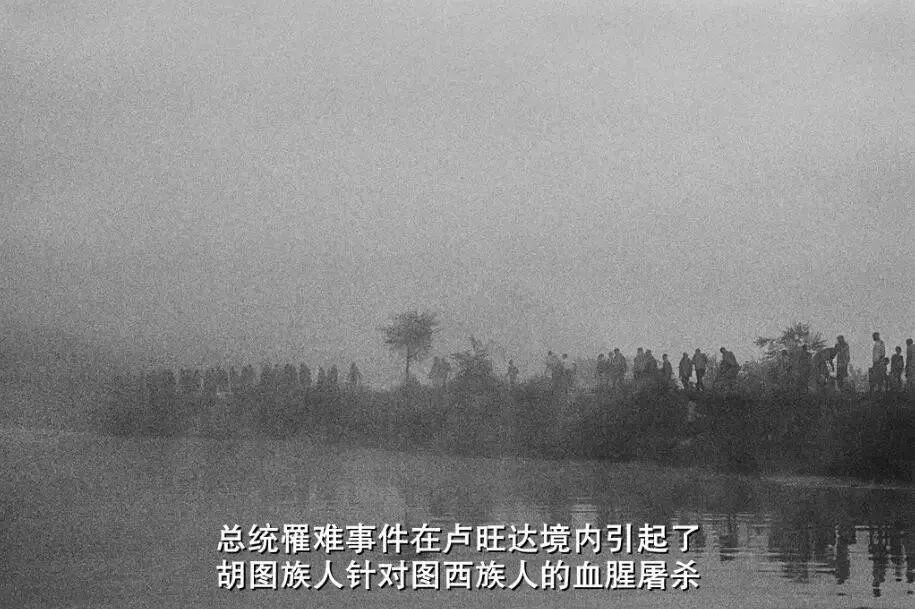 73岁老人被狼追杀,人类被鲨鱼猎杀的惊恐瞬间