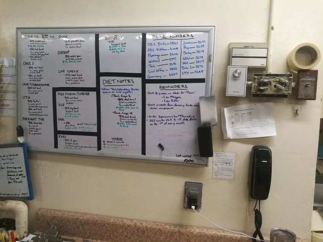 亚特兰大动物园,亚特兰大动物园和华盛顿动物园