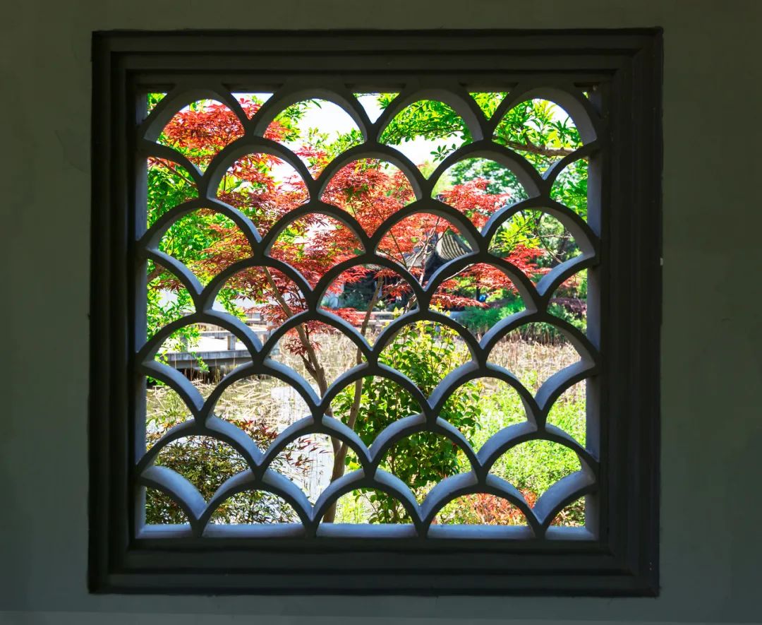 苏州真正的烟雨江南在哪里,江南烟雨苏州古城