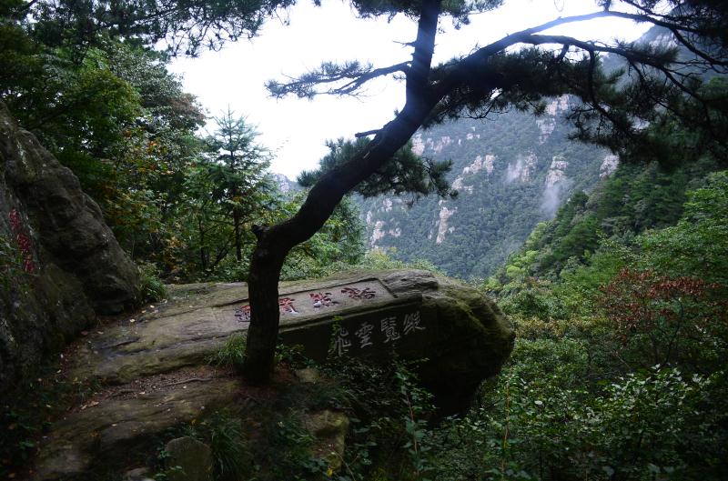庐山牯岭镇印象,庐山意境风景