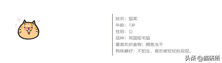 万里挑一加盟,万里挑一高手在哪里