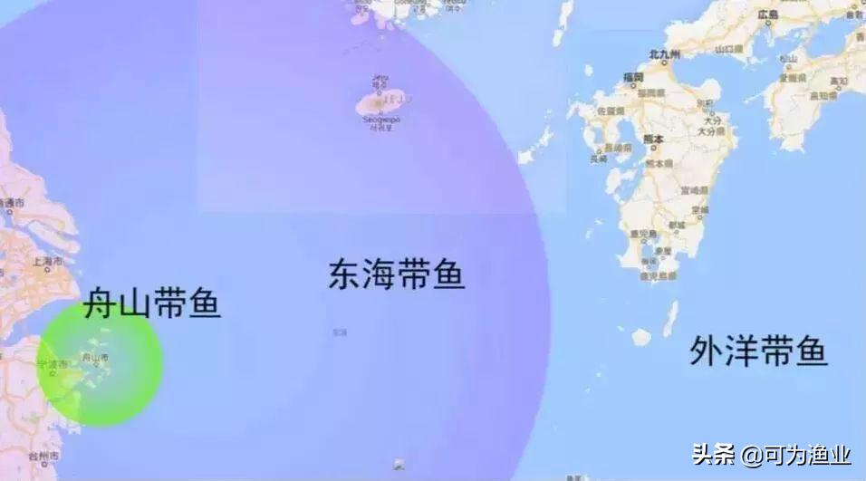 中国四大海产带鱼种类名称表,中国四大海产带鱼种类图表
