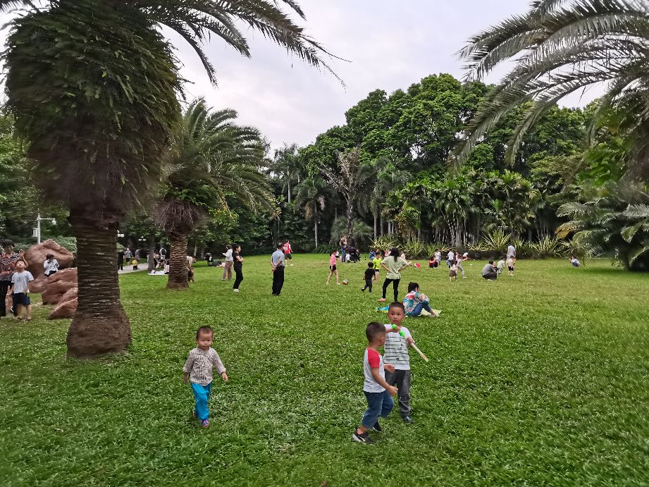 荔枝公园深圳,深圳第一公园荔枝公园