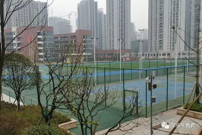 大连金州重点初中,西附金州校区到底如何