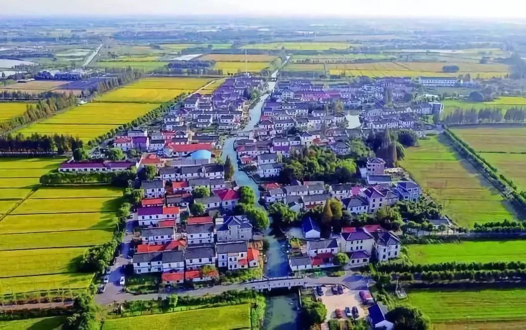 上海人游上海，这51个地方才不“踩雷”！