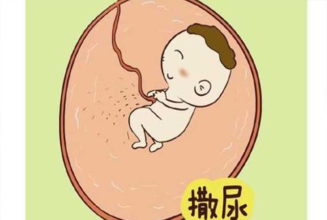 孕期同房，对胎儿有啥影响？别害羞，看完就知道了！