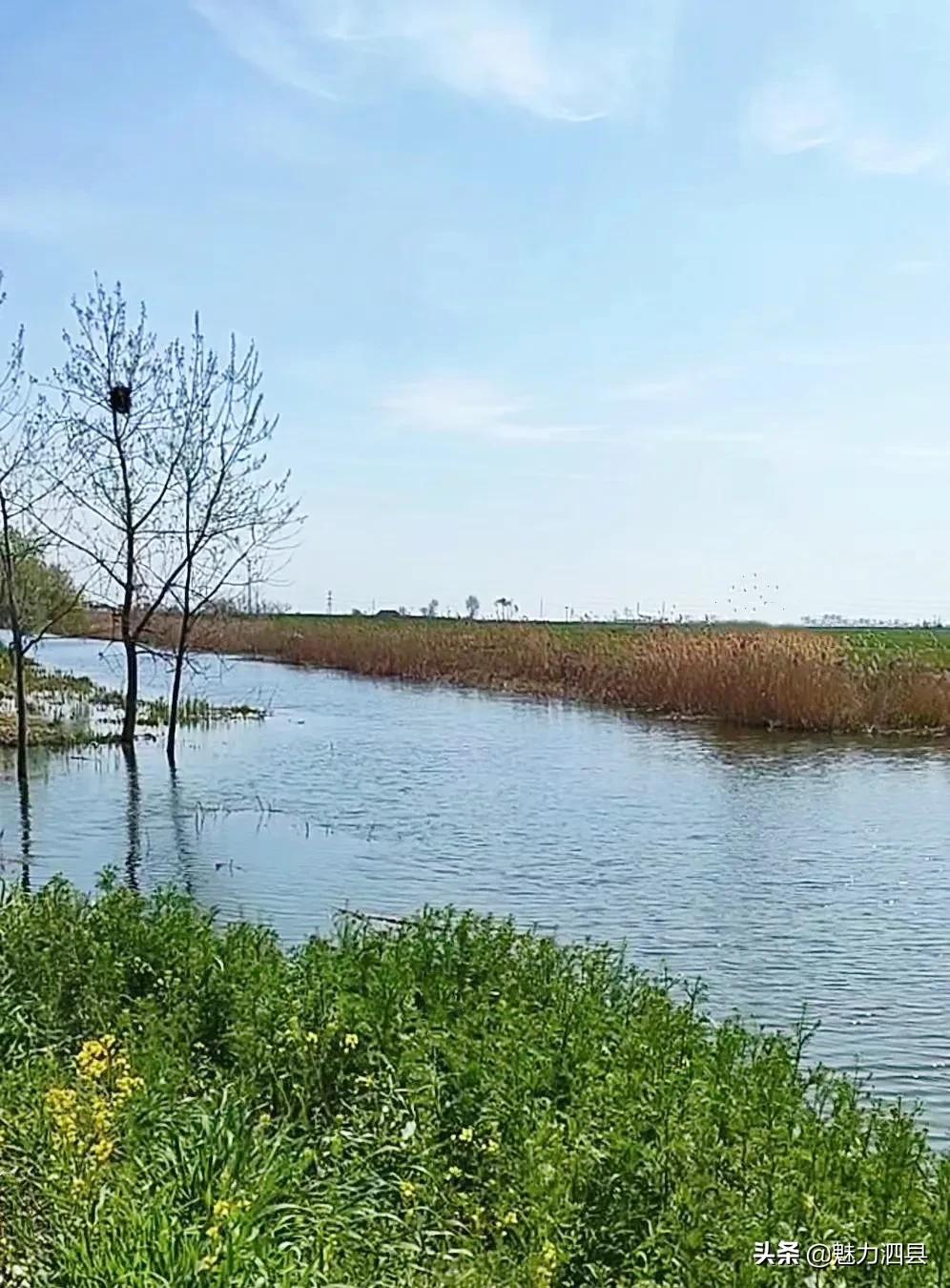 全国文明县城泗县,2024年泗县评上文明城市了吗