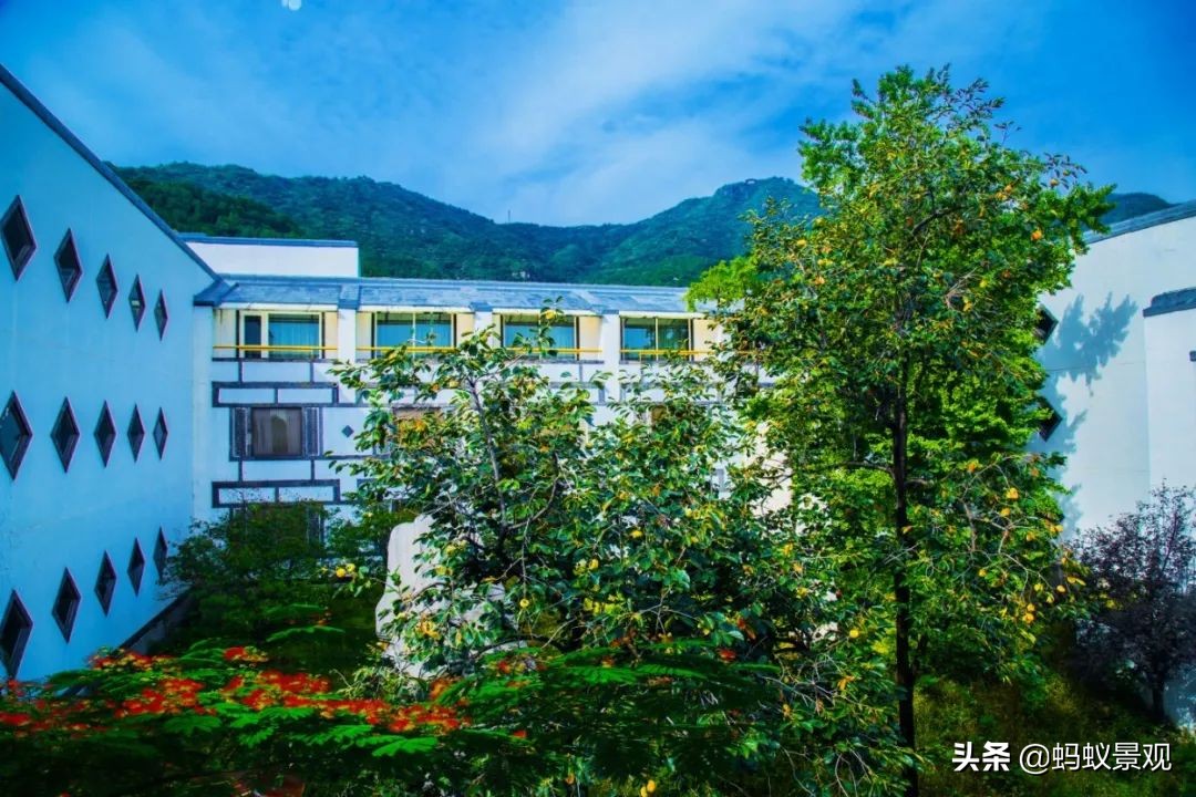 香山饭店四绝十八景是什么,香山饭店的游记