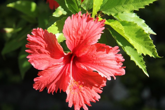 十二星座花心程度排行表金牛,十二星座复合指南白羊金牛