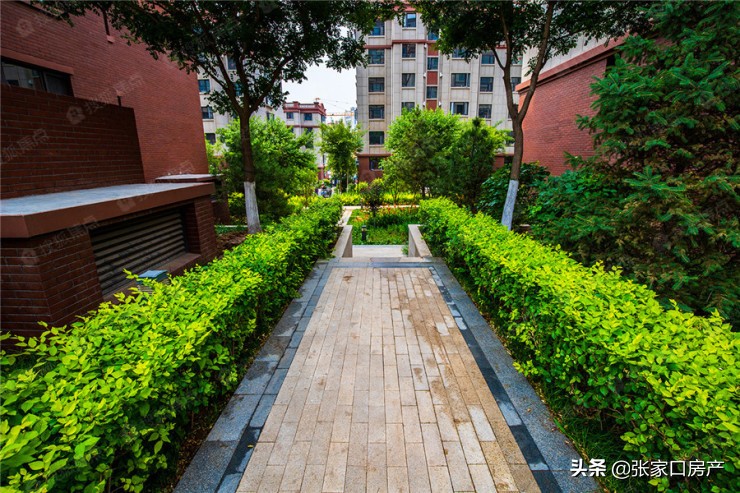 打通任督二脉的最新视频,打通任督二脉最新视频