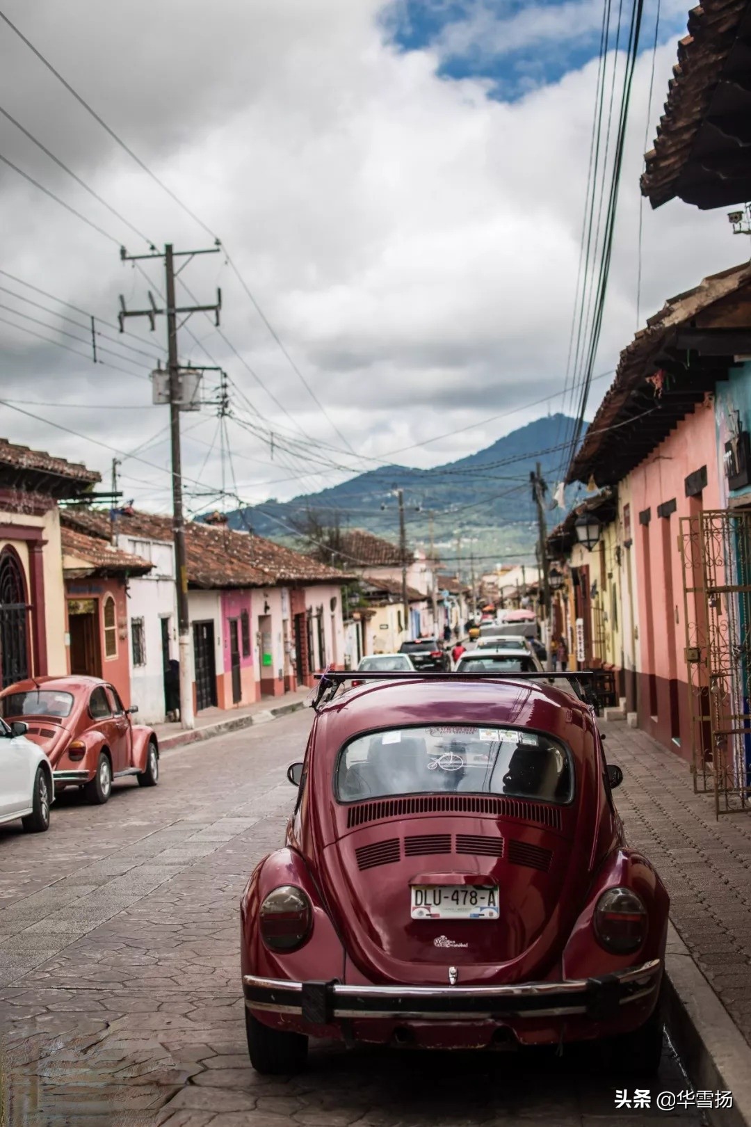 在这里你可以看到绚烂多彩的甲壳虫,因为他们是这里的精灵