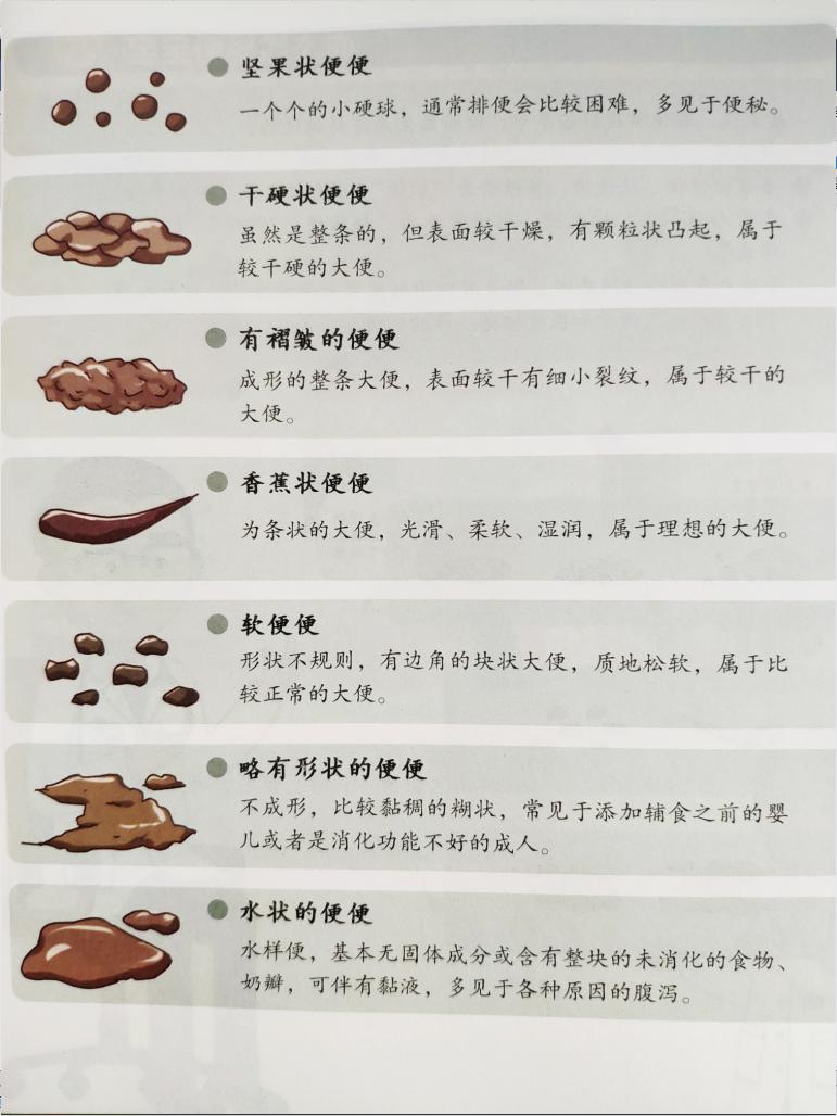 正常宝宝便便的颜色和形状,宝宝便便识别方法图解1岁