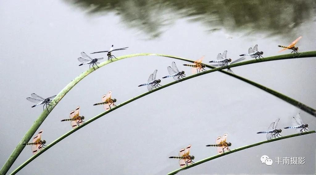 发现生活之美完整版,发现生活之美