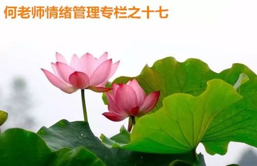 无我真逍遥—我们可以向“圣人无名”学什么？