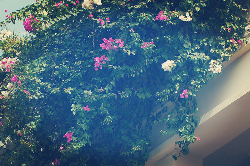 高中英语单词句子必背3500词汇,2021高一英语必修一单词跟读