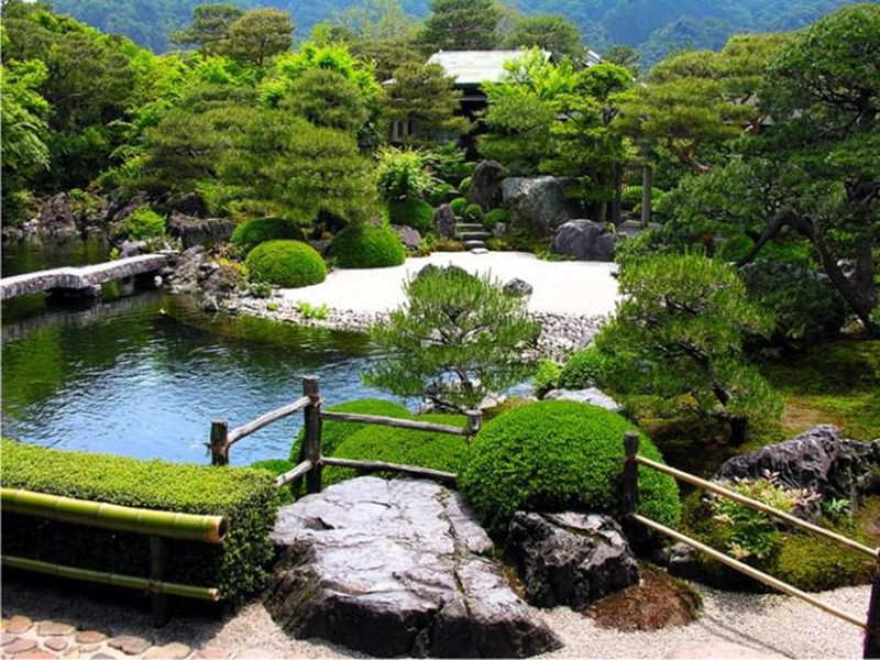 园林绿化苗价格查询,绿化栽苗人工每平方价格