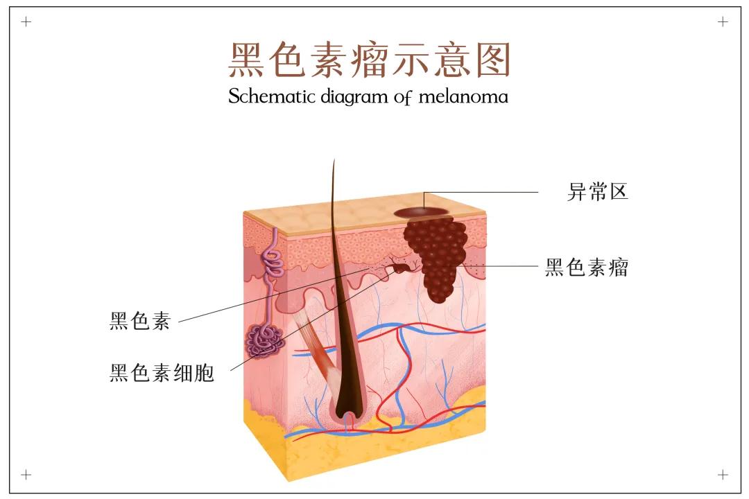 中国科学院附属浙江省肿瘤医院,中国科学院第一医院肿瘤内科