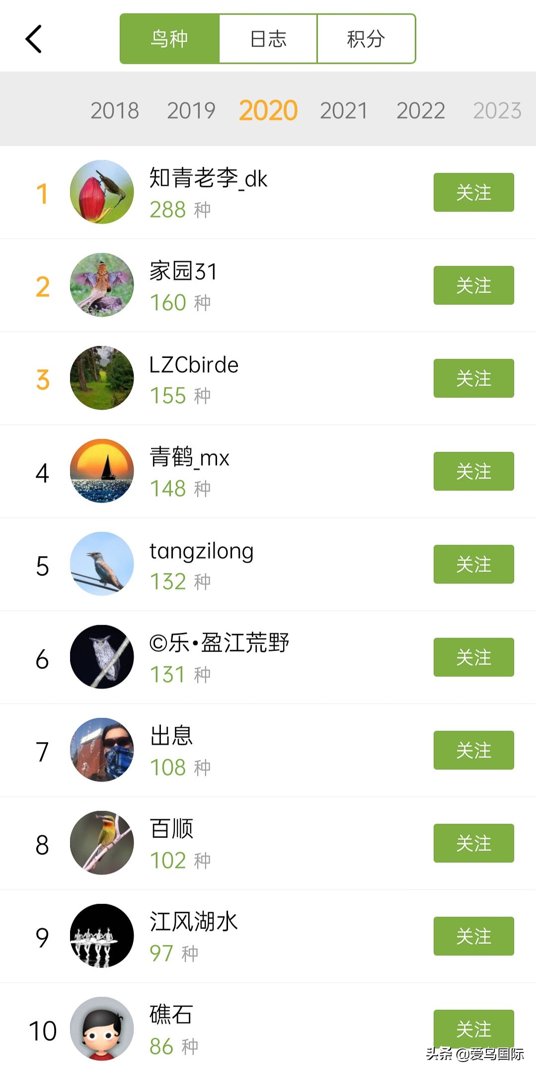 观鸟大年,观鸟作品100幅