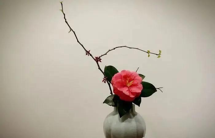 我终究只是个看客,我不只是一个看客