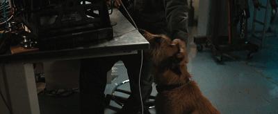 一部被低估的科幻电影末日,现在最火的末日片有哪些