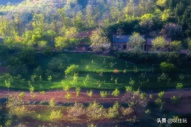西安杨贵妃同款泡池酒店,杨贵妃西安温泉