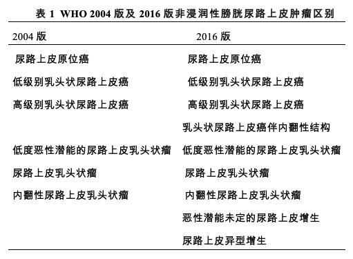 膀胱癌治疗安全共识,94岁老年膀胱癌诊疗经验