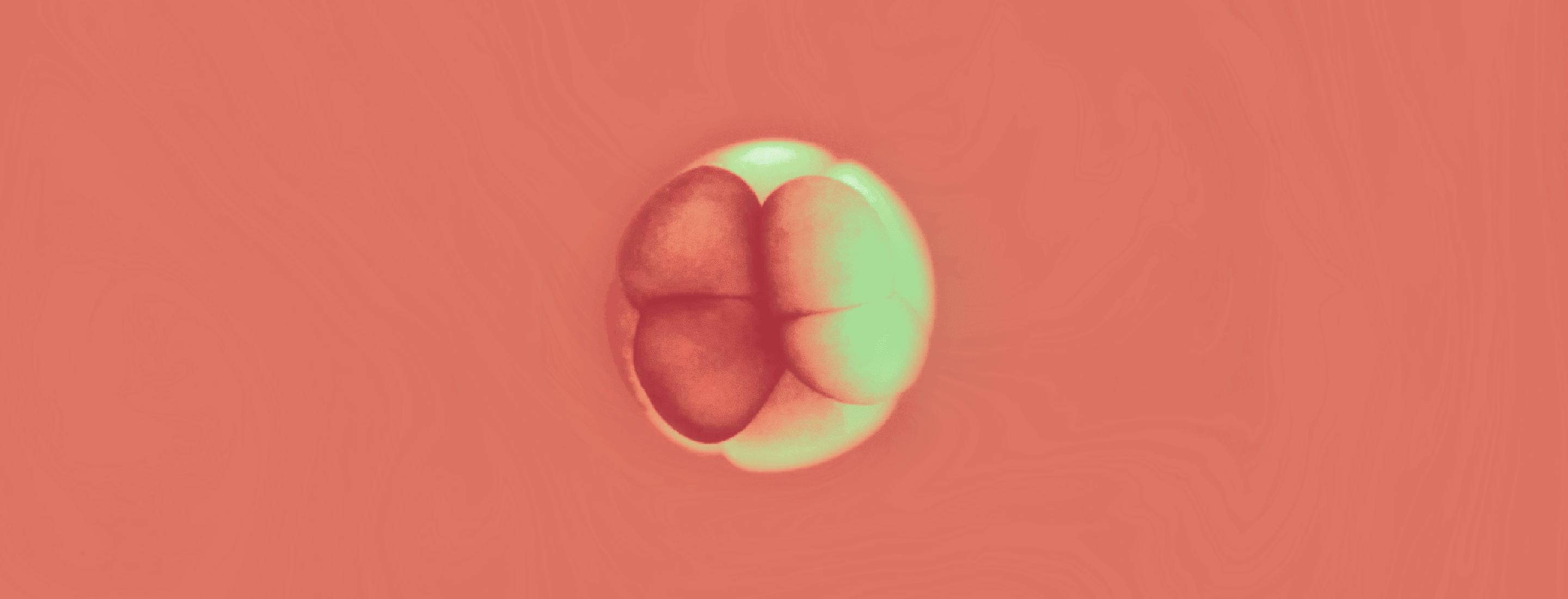 怎么恢复愈合伤口留下的疤痕,科普短片伤口是如何愈合的