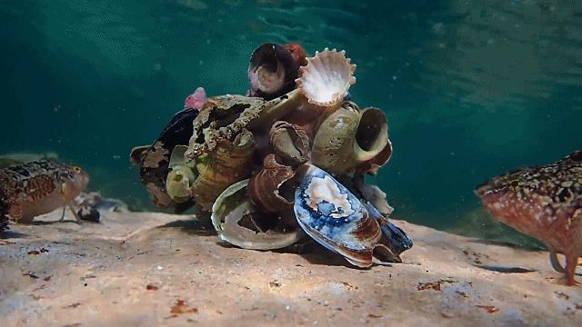 人鱼情未了在线阅读,人鱼情未了电视剧免费观看