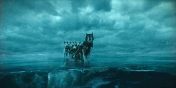 二哈多哥极限逃跑,多哥为什么跟其他哈士奇不一样