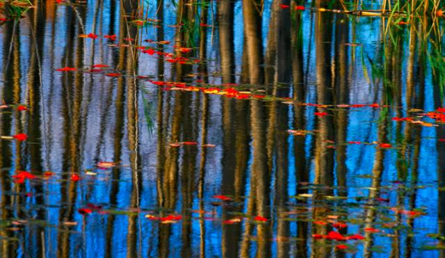 阿勒泰秋天有多美,秋天的新疆阿勒泰太美