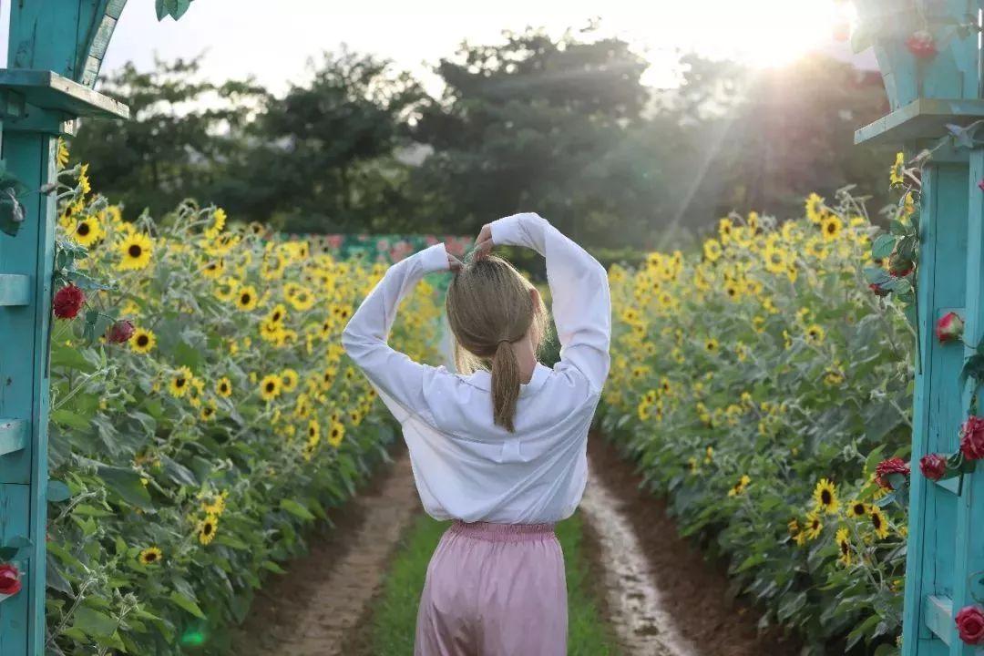 水上乐园超级大喇叭体验,挑战十大世界上最大的水上乐园