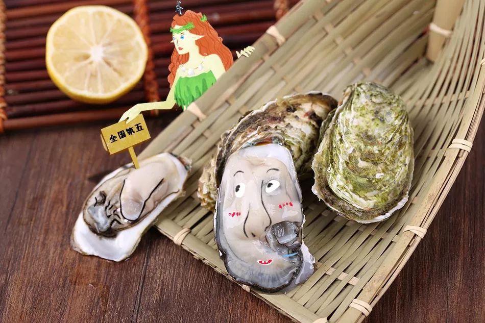 原来人马兽是世界之最的狂热收藏者，大连你太厉害了丨Mr.Data