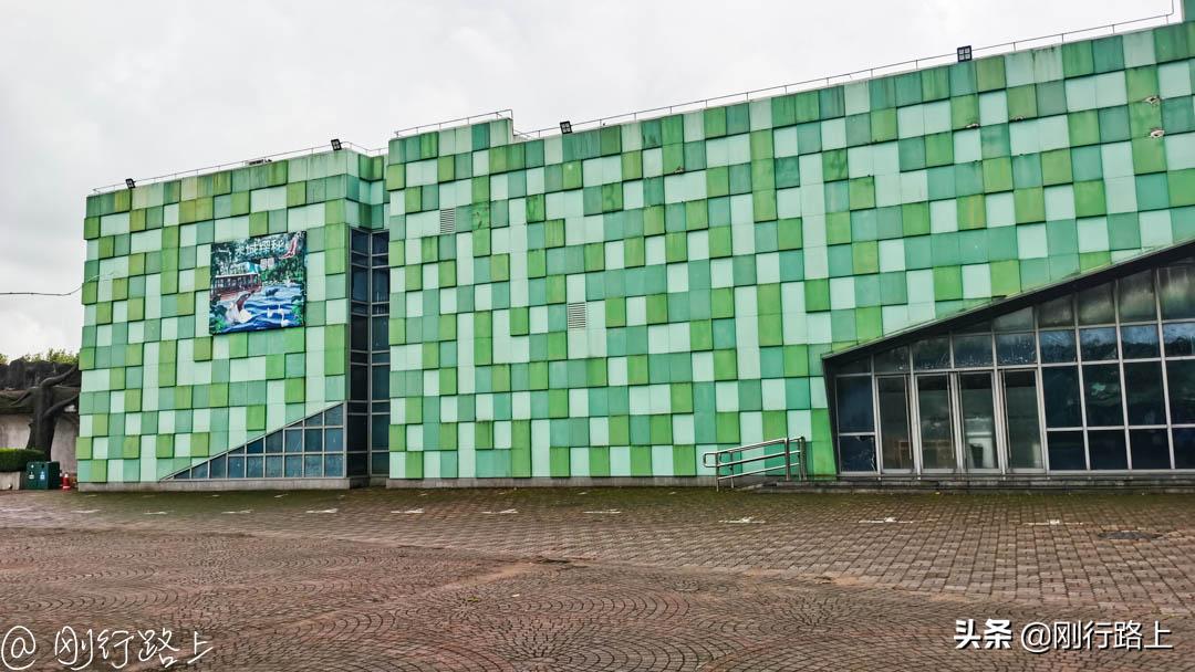 上海野生动物园攻略，一个适合亲子游玩的地方